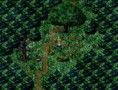 /album/galerie-photos/bcgukv-gh-jpg/
